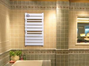 平板衛(wèi)浴暖氣片-2